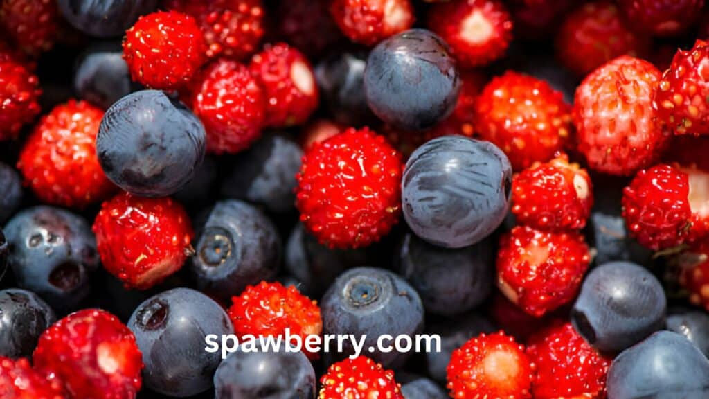 Alpine Strawberry Vs Wild Strawberry