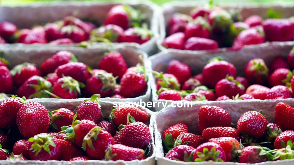 What Fertilizer Makes Strawberries Sweeter