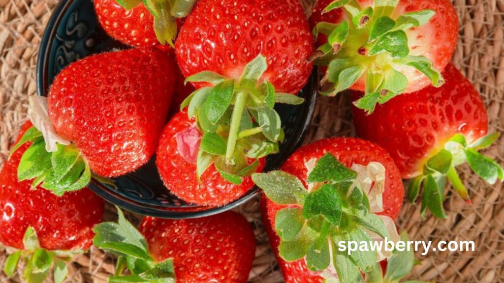 Which Strawberry Plant Produces The Most Strawberries