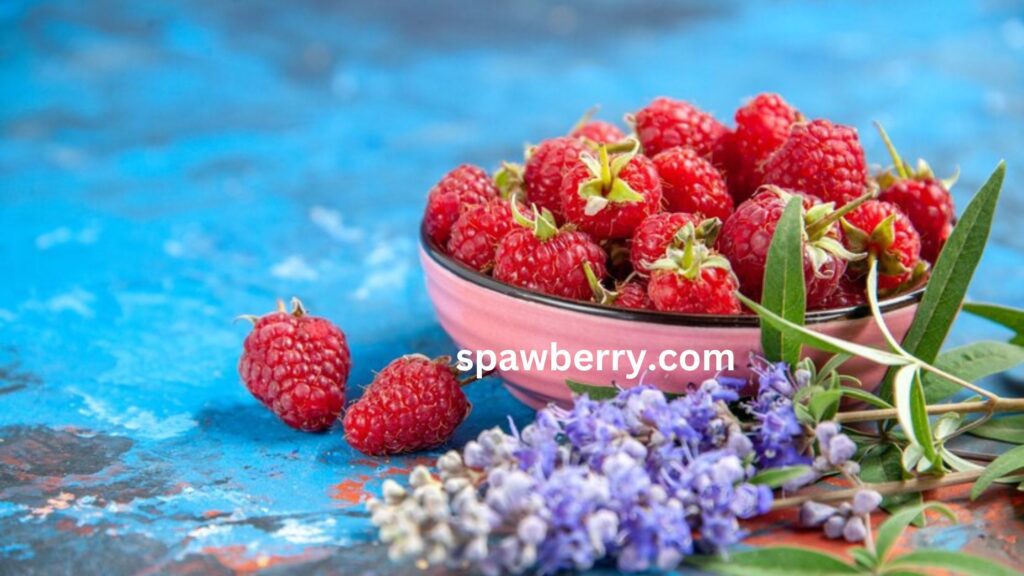 Alpine Strawberry Benefits