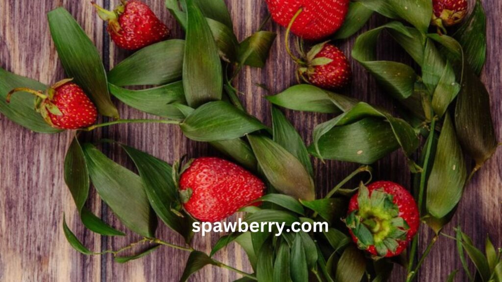 Are Strawberry Stems Edible