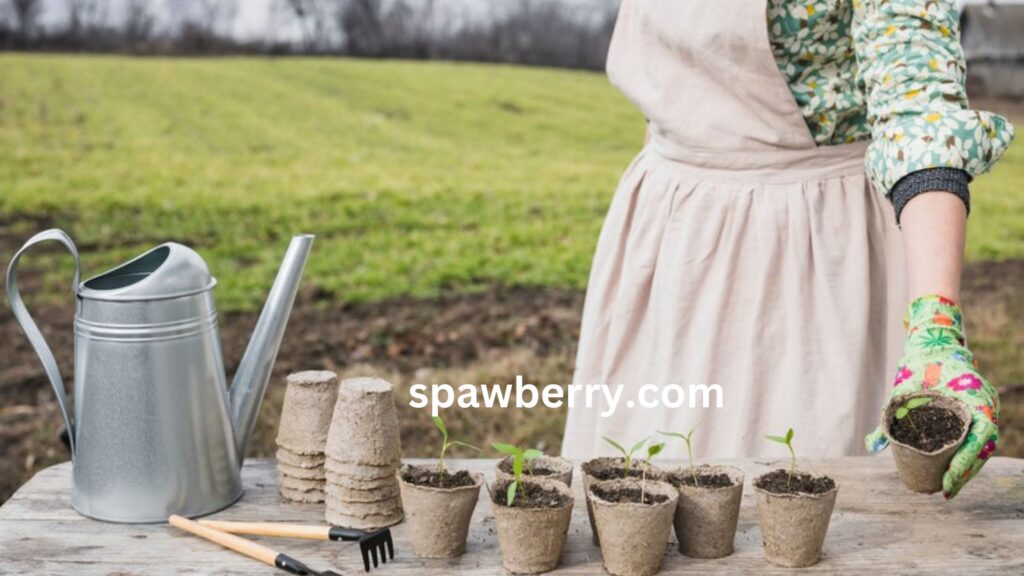 When To Plant Day Neutral Strawberries