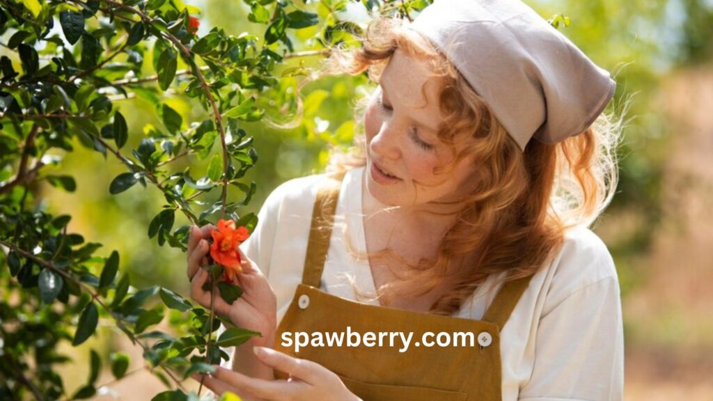 Will Strawberry Plants Climb