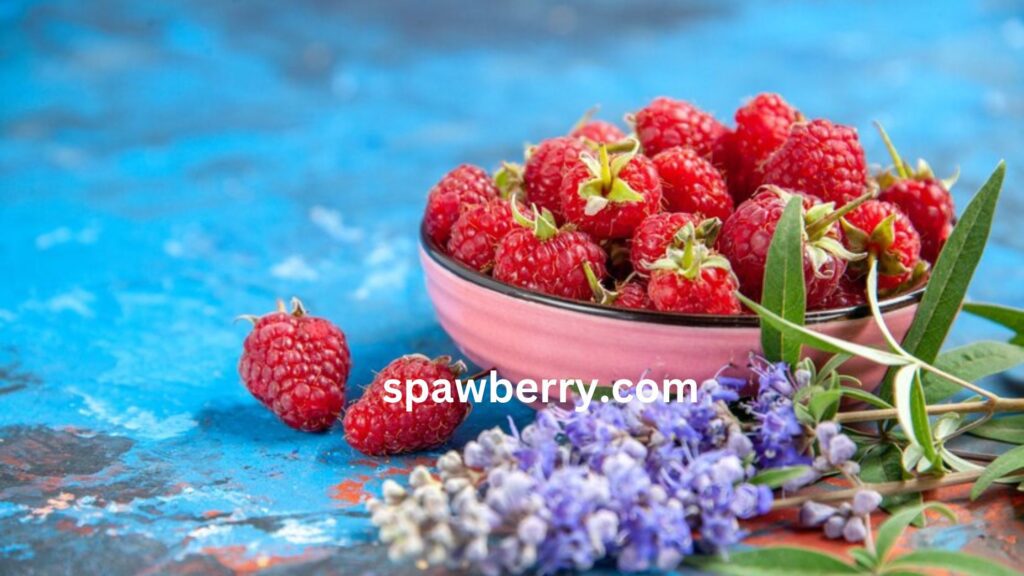 Are Alpine Strawberries Sweet