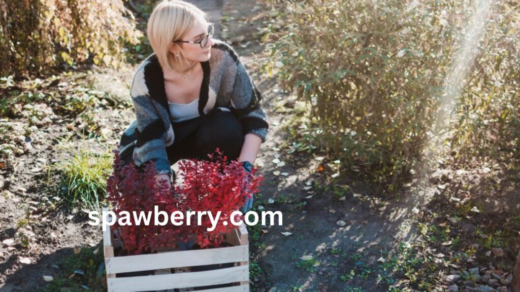 Can You Mow Wild Strawberries