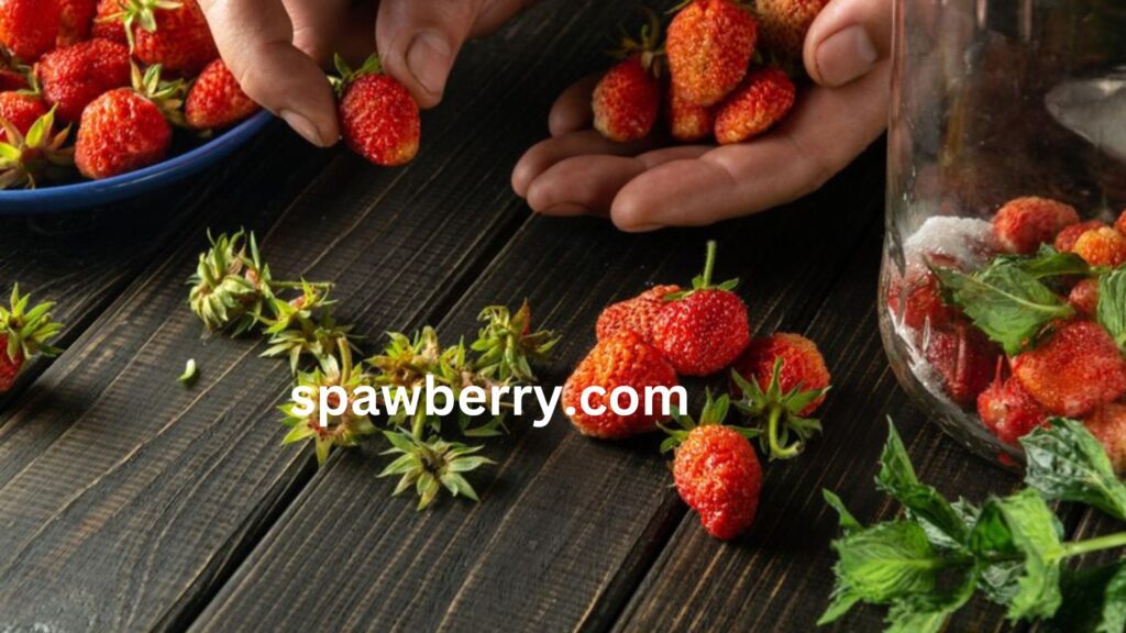 Do Alpine Strawberries Come Back Every Year